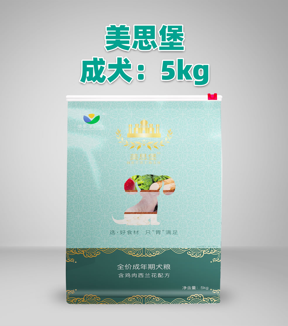 成犬5.jpg